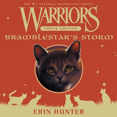 Warriors: The Broken Code #4: Darkness Within - By Erin Hunter (paperback)  : Target