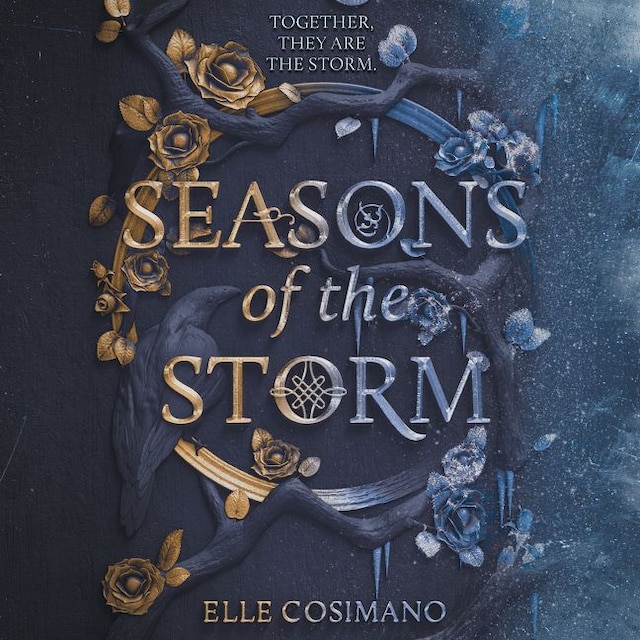 Buchcover für Seasons of the Storm