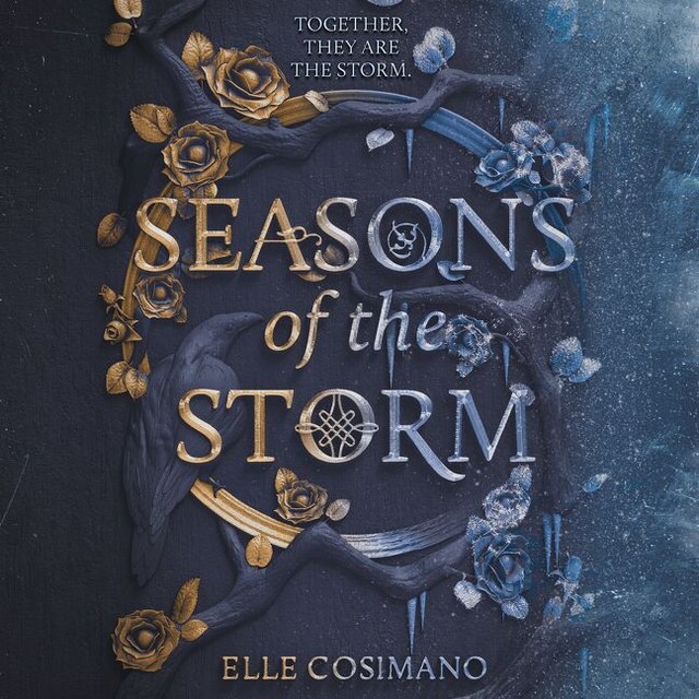 Buchcover für Seasons of the Storm