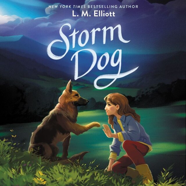 Copertina del libro per Storm Dog
