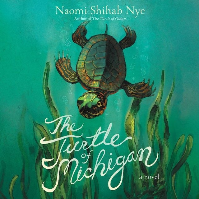 Book cover for The Turtle of Michigan