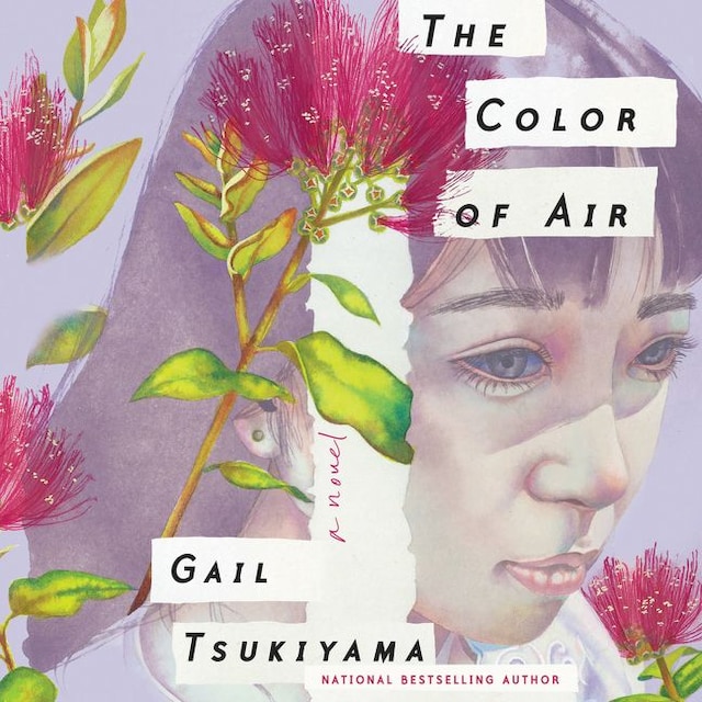 The Color of Air Book cover for The Color of Air