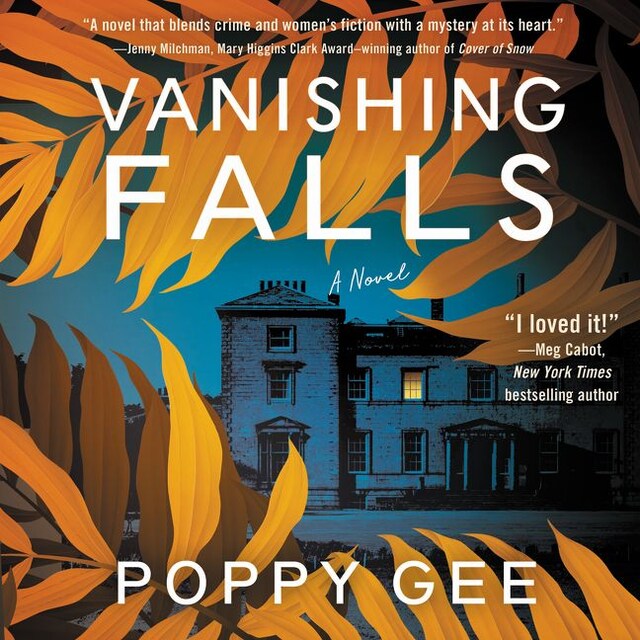 Book cover for Vanishing Falls