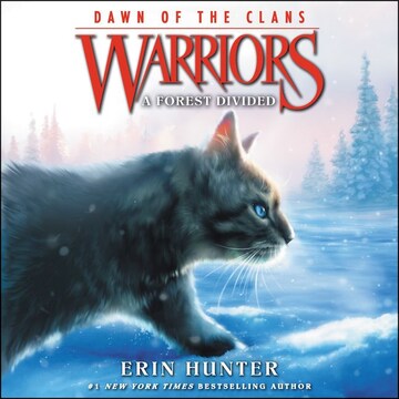 bookCoverFor