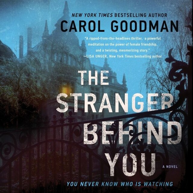 Book cover for The Stranger Behind You