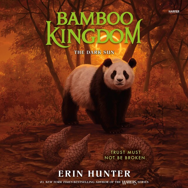 Boekomslag van Bamboo Kingdom #4: The Dark Sun