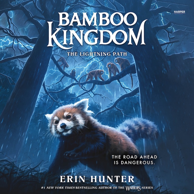 Bokomslag for Bamboo Kingdom #5: The Lightning Path