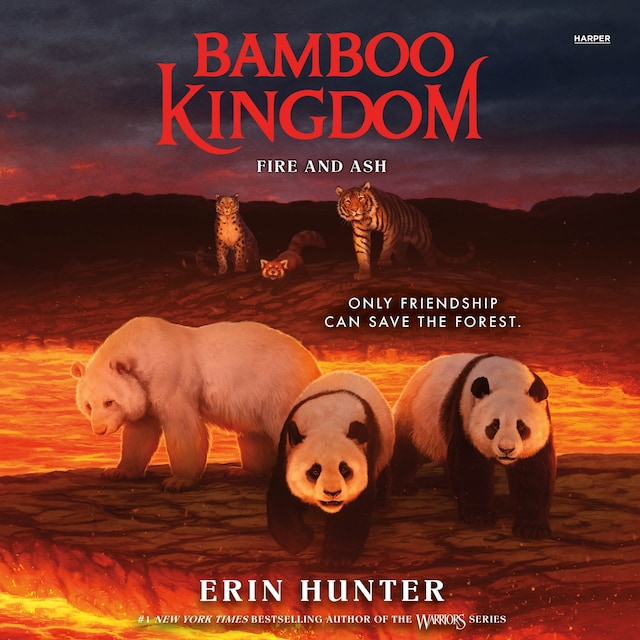 Book cover for Bamboo Kingdom #6: Fire and Ash