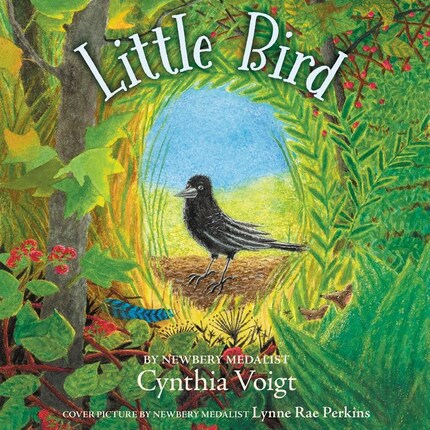 Little Bird bookCoverFor