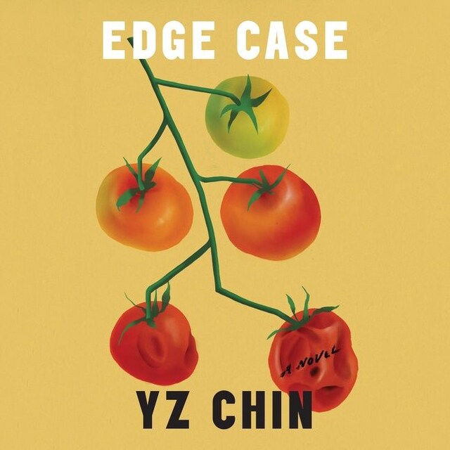 Edge Case Book cover for Edge Case