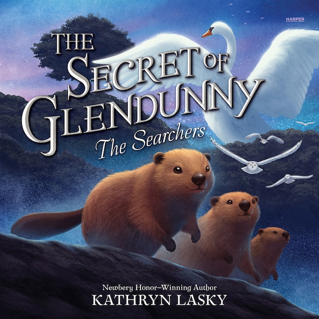 Book cover for The Secret of Glendunny #2: The Searchers