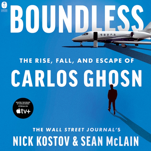 Copertina del libro per Boundless