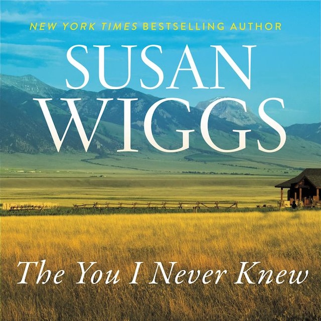 Book cover for The You I Never Knew