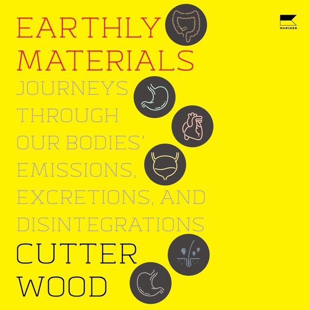 Book cover for Earthly Materials