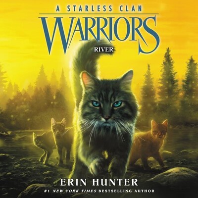 bookCoverFor