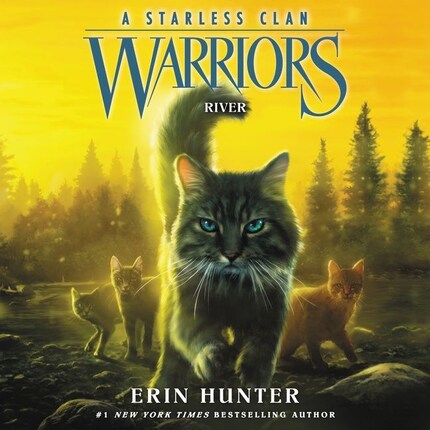 Warriors: A Starless Clan #1: River bookCoverFor