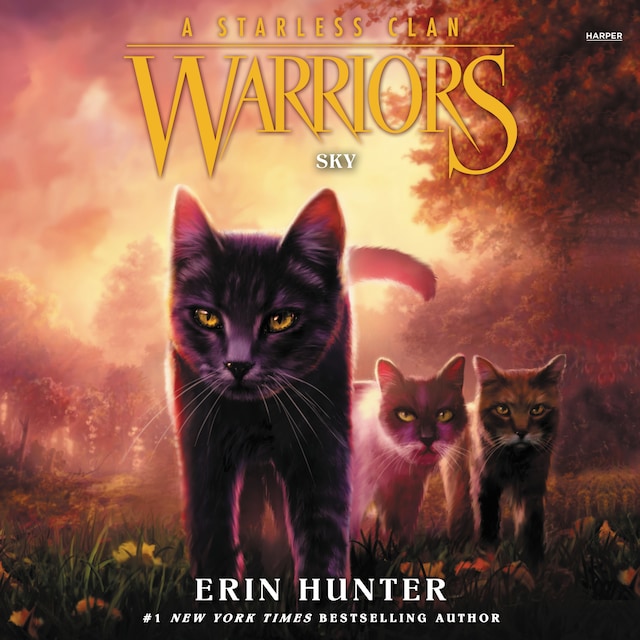 Warriors: A Starless Clan #2: Sky Book cover for Warriors: A Starless Clan #2: Sky