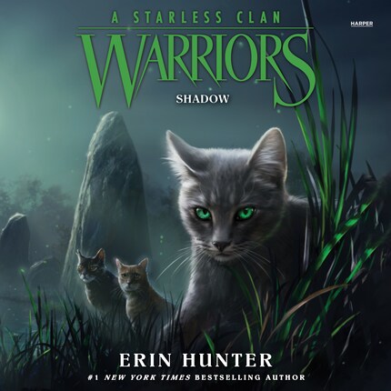 Warriors Cats: Series 3 & 4 (Power of Three & Omen of the Stars