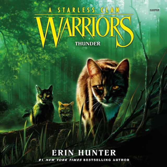 Warriors: A Starless Clan #4: Thunder Book cover for Warriors: A Starless Clan #4: Thunder