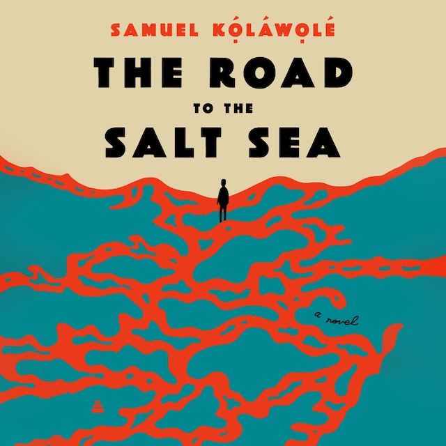 Book cover for The Road to the Salt Sea