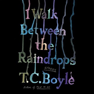 I Walk Between the Raindrops bookCoverFor