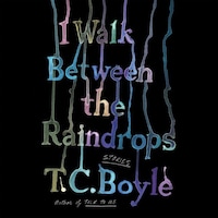 I Walk Between the Raindrops