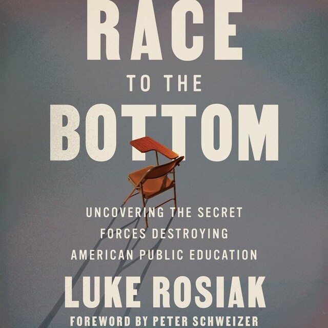 Book cover for Race to the Bottom