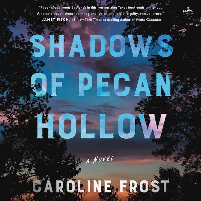 Book cover for Shadows of Pecan Hollow