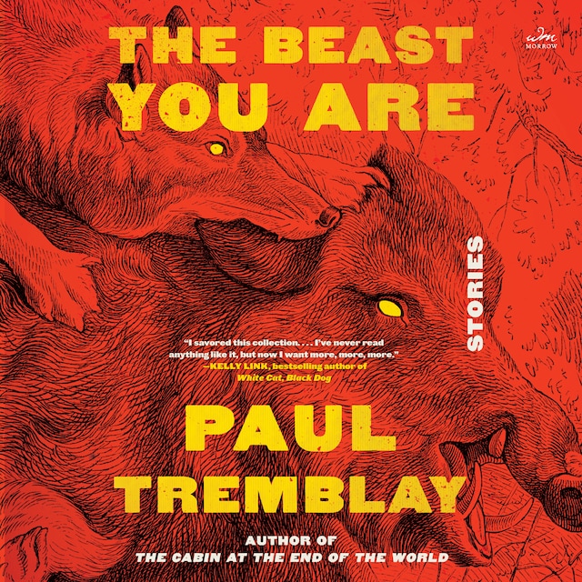 Book cover for The Beast You Are