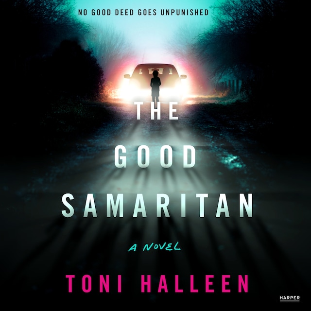 Book cover for The Good Samaritan