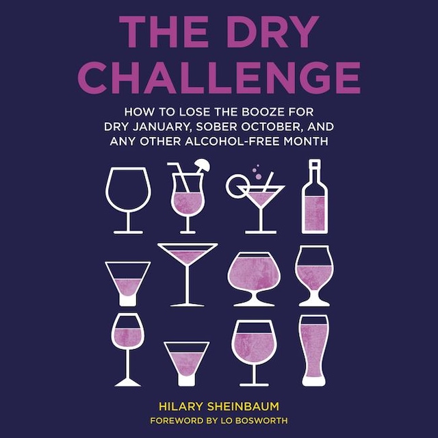 Book cover for The Dry Challenge