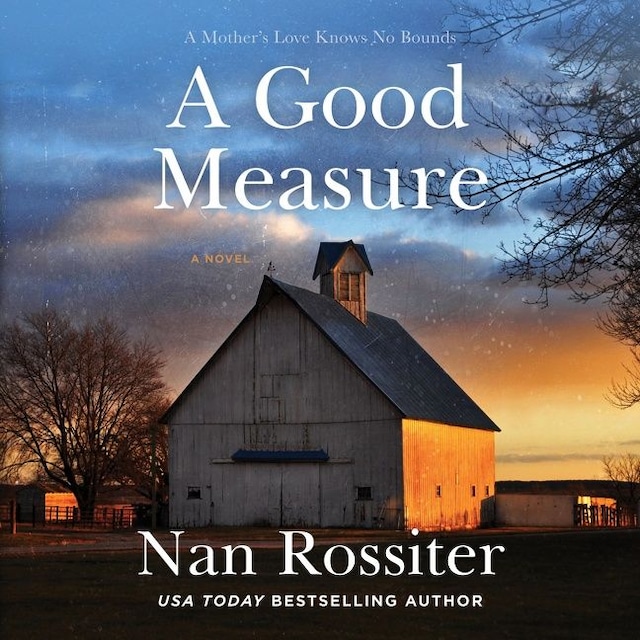 Book cover for A Good Measure