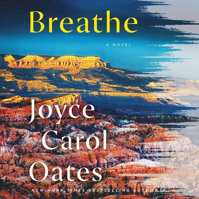 Buchcover für Breathe