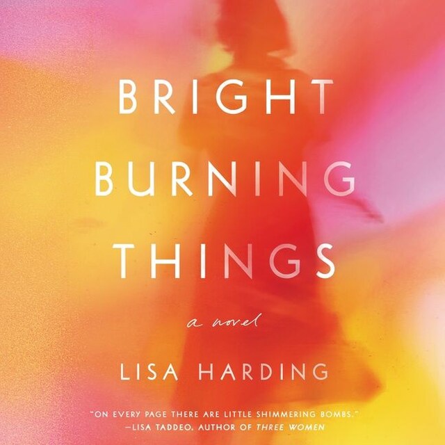 Book cover for Bright Burning Things