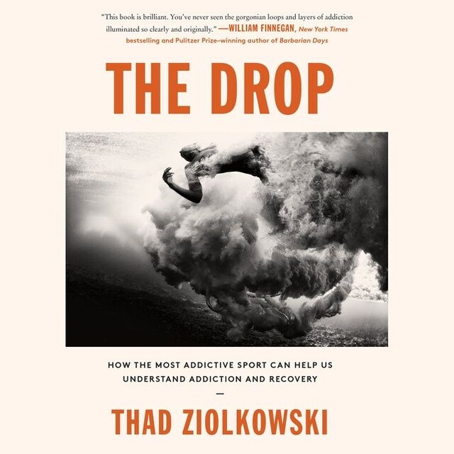 Book cover for The Drop