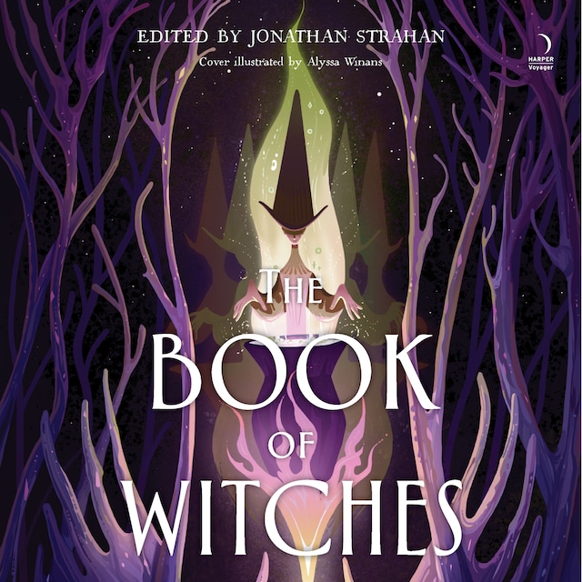 Book cover for The Book of Witches