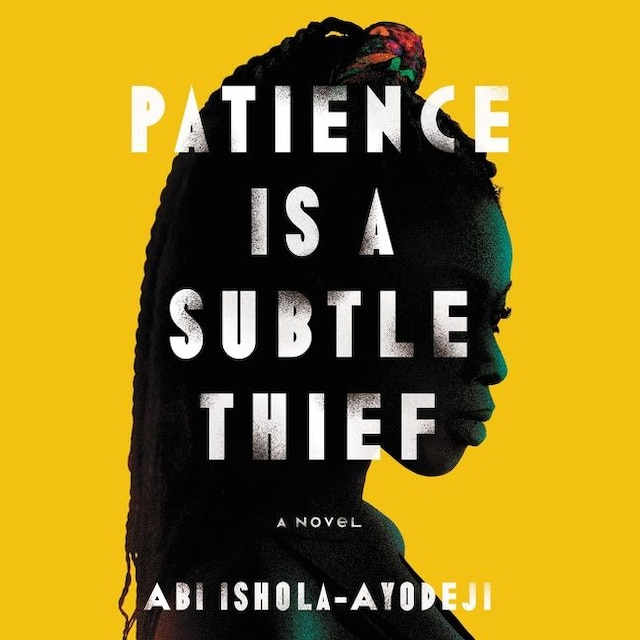 Book cover for Patience Is a Subtle Thief