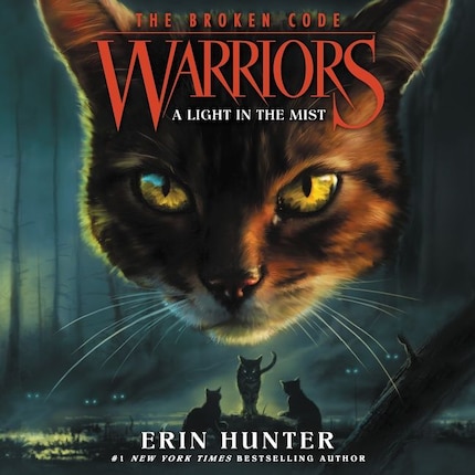 Warriors: The Broken Code #6: A Light in the Mist bookCoverFor
