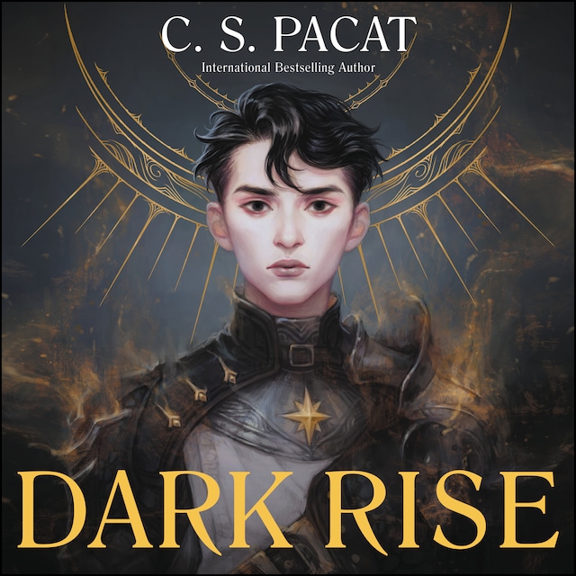 Buchcover für Dark Rise