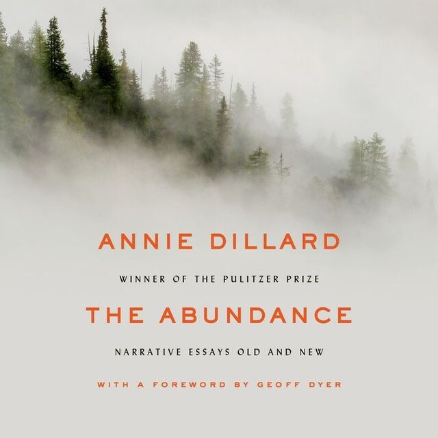 Book cover for The Abundance