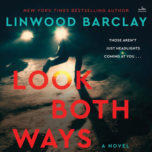 Book cover for Look Both Ways