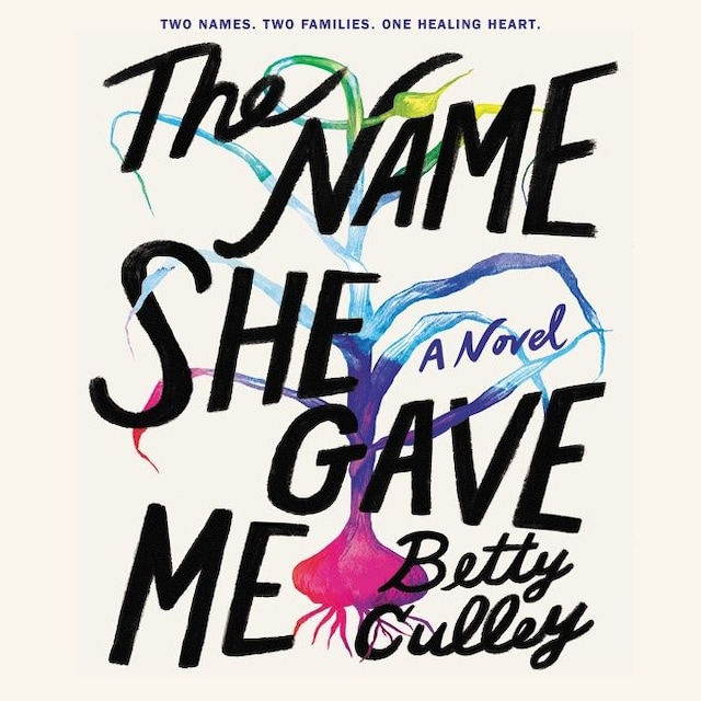 Book cover for The Name She Gave Me