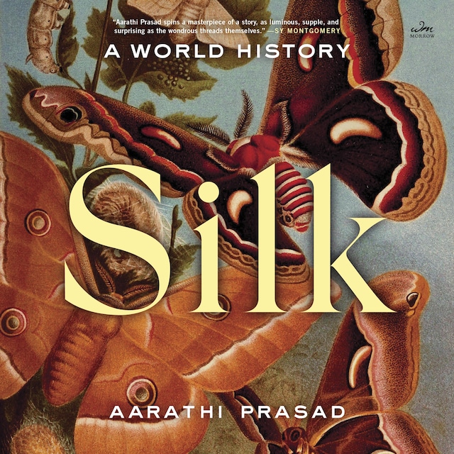 Book cover for Silk