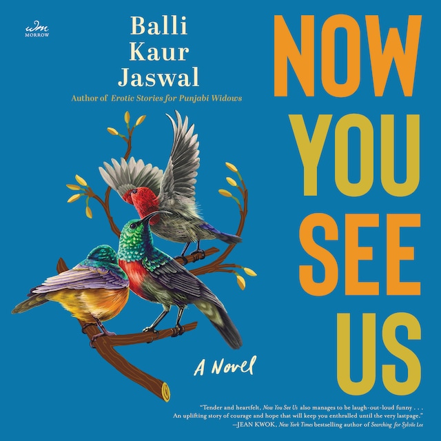 Book cover for Now You See Us