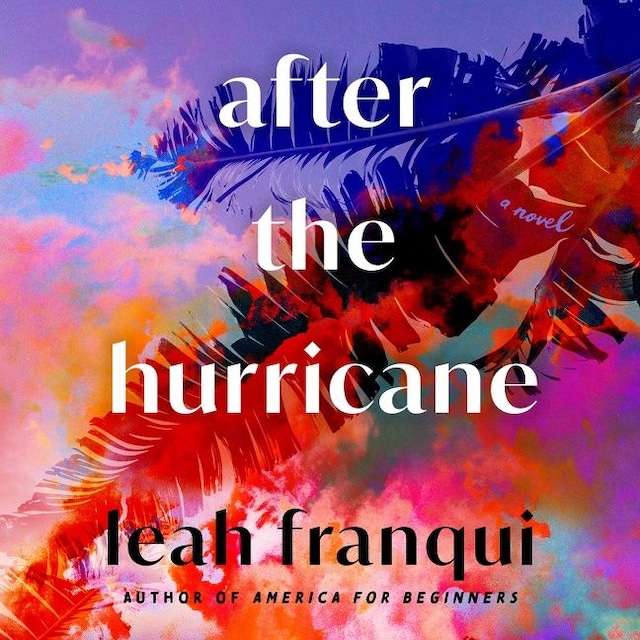 Book cover for After the Hurricane
