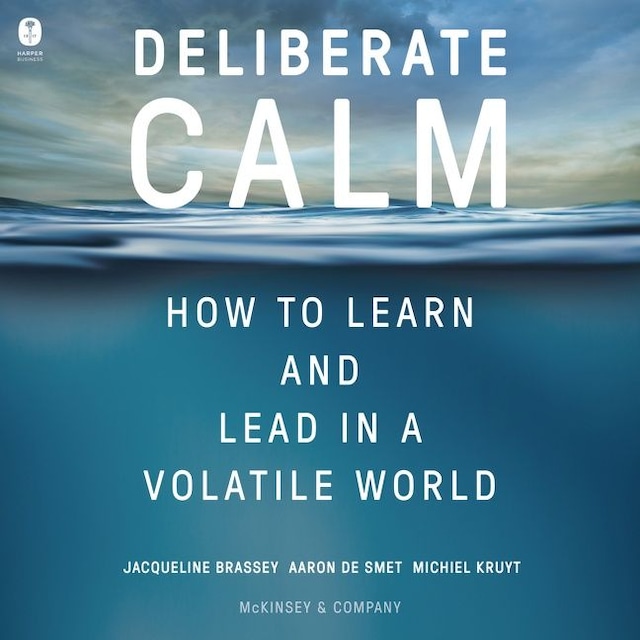 Book cover for Deliberate Calm