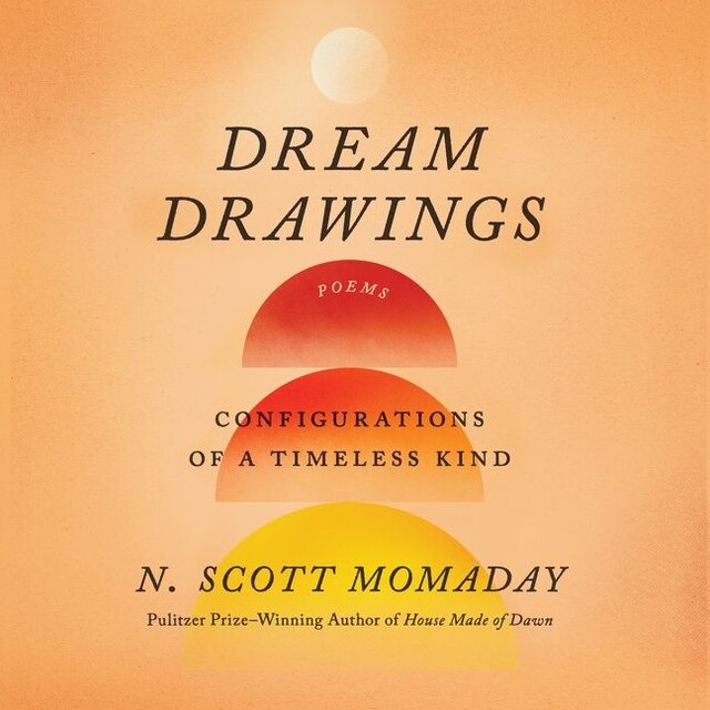 Book cover for Dream Drawings