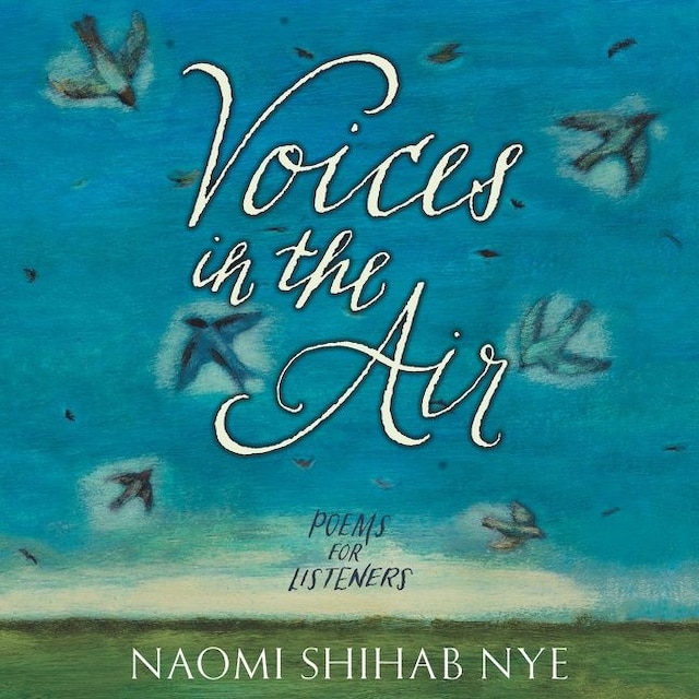 Book cover for Voices in the Air