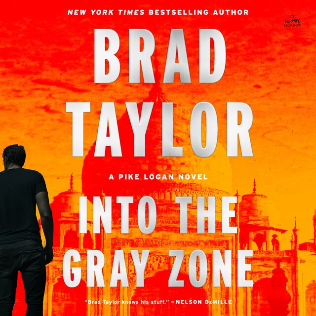 Buchcover für Into the Gray Zone