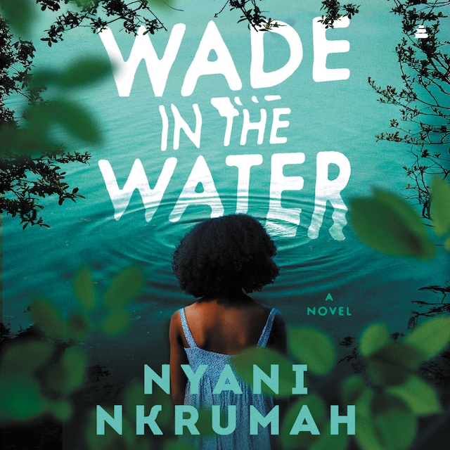 Buchcover für Wade in the Water